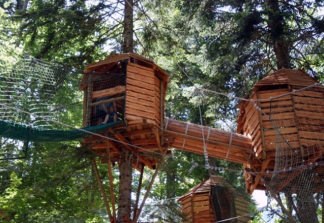  Tree houses 
